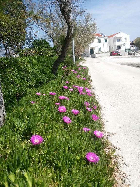 Sućuraj Holiday House Popovic מראה חיצוני תמונה